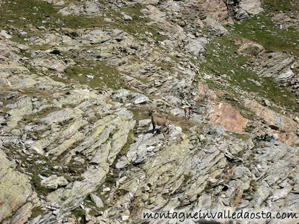 colle di valcournera